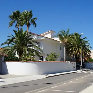 Eucaliptus , L'Eucaliptus Espagne